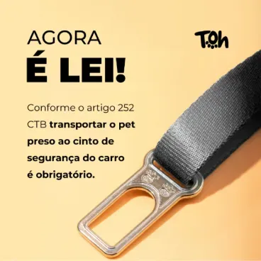 Banner com artigo 252 para uso de cinto de seguranca para pets